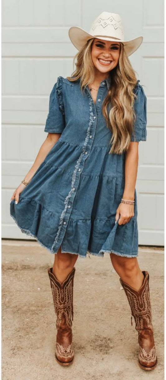 Ruffle Denim Dress