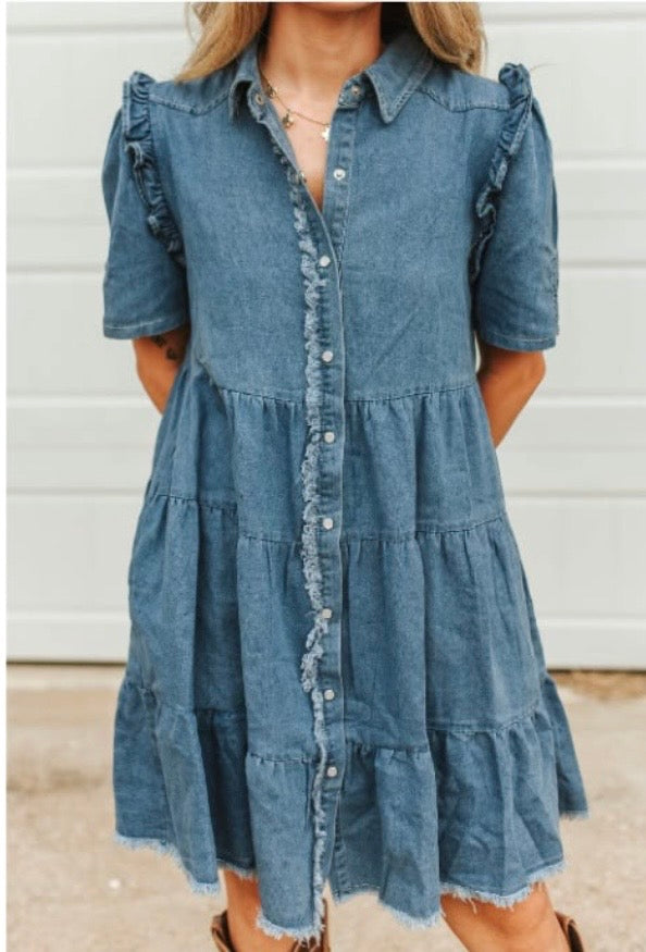 Ruffle Denim Dress